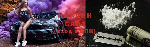 бошки Горняк