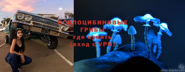 герыч Вяземский