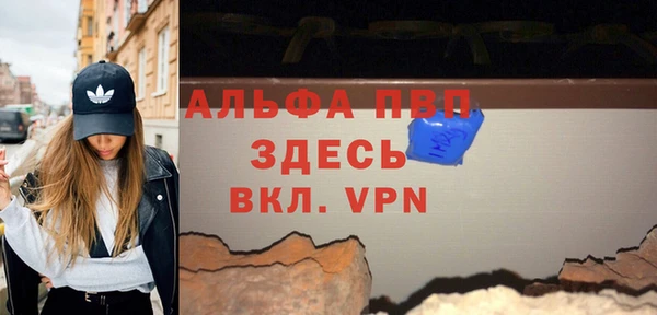 шишки Горно-Алтайск