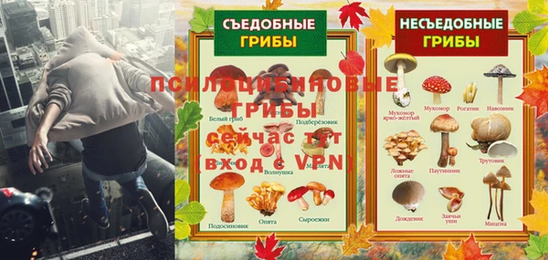 герыч Вяземский