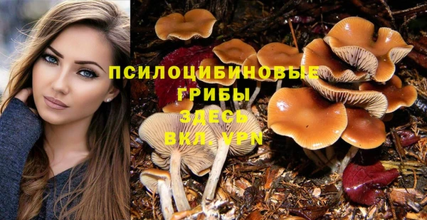 соль ск Осташков