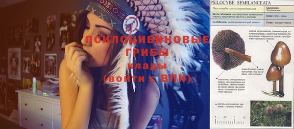 гидропоника Вязники